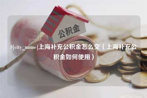 漯河上海补充公积金怎么交（上海补充公积金如何使用）